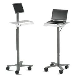 H1412 Dash Anthro H1412 Dash Anthro