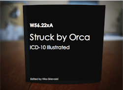Book Icon 1024x1024 1 Book Icon 1024x1024 1