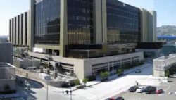 Cedars1 Web Cedars1 Web