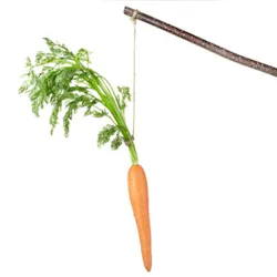 13910447 S 13910447 S