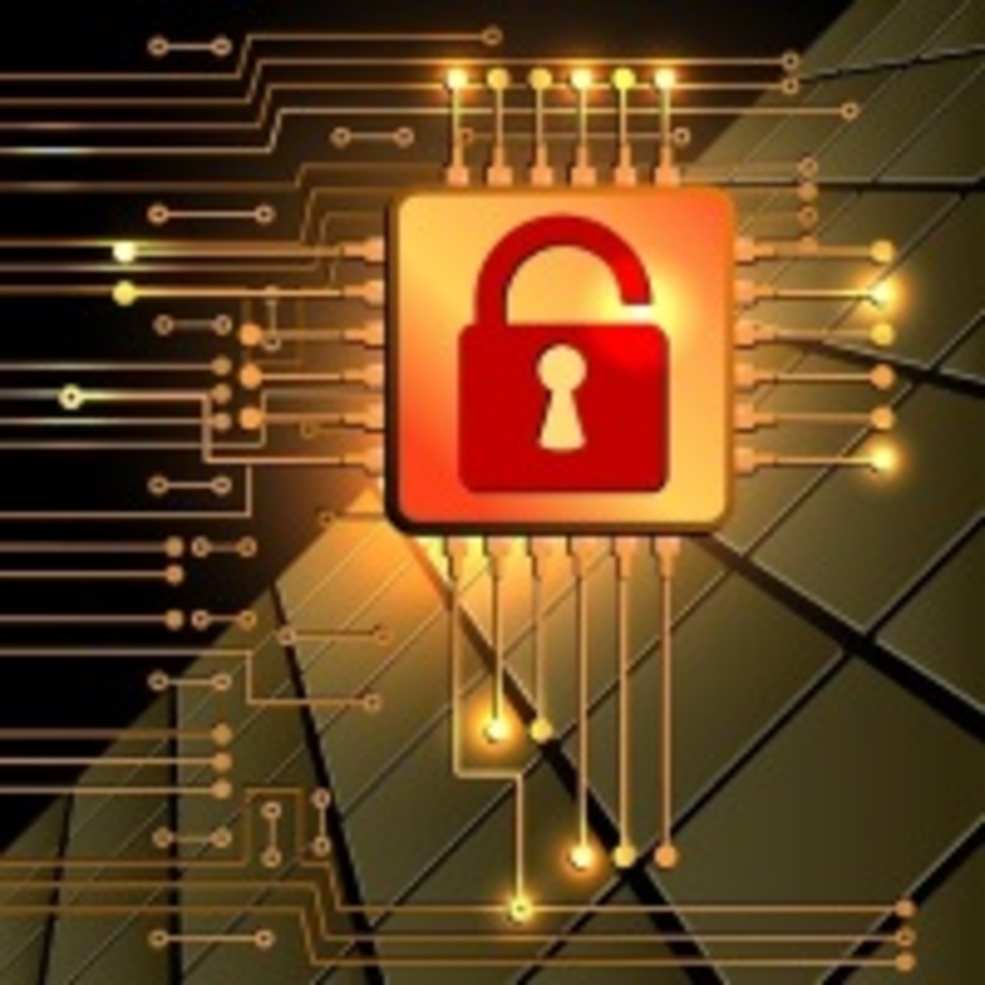 Datasecurity 34593292 Smaller