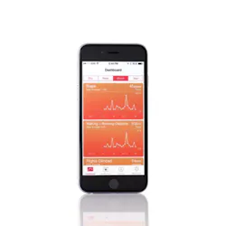 34588304 S 34588304 S