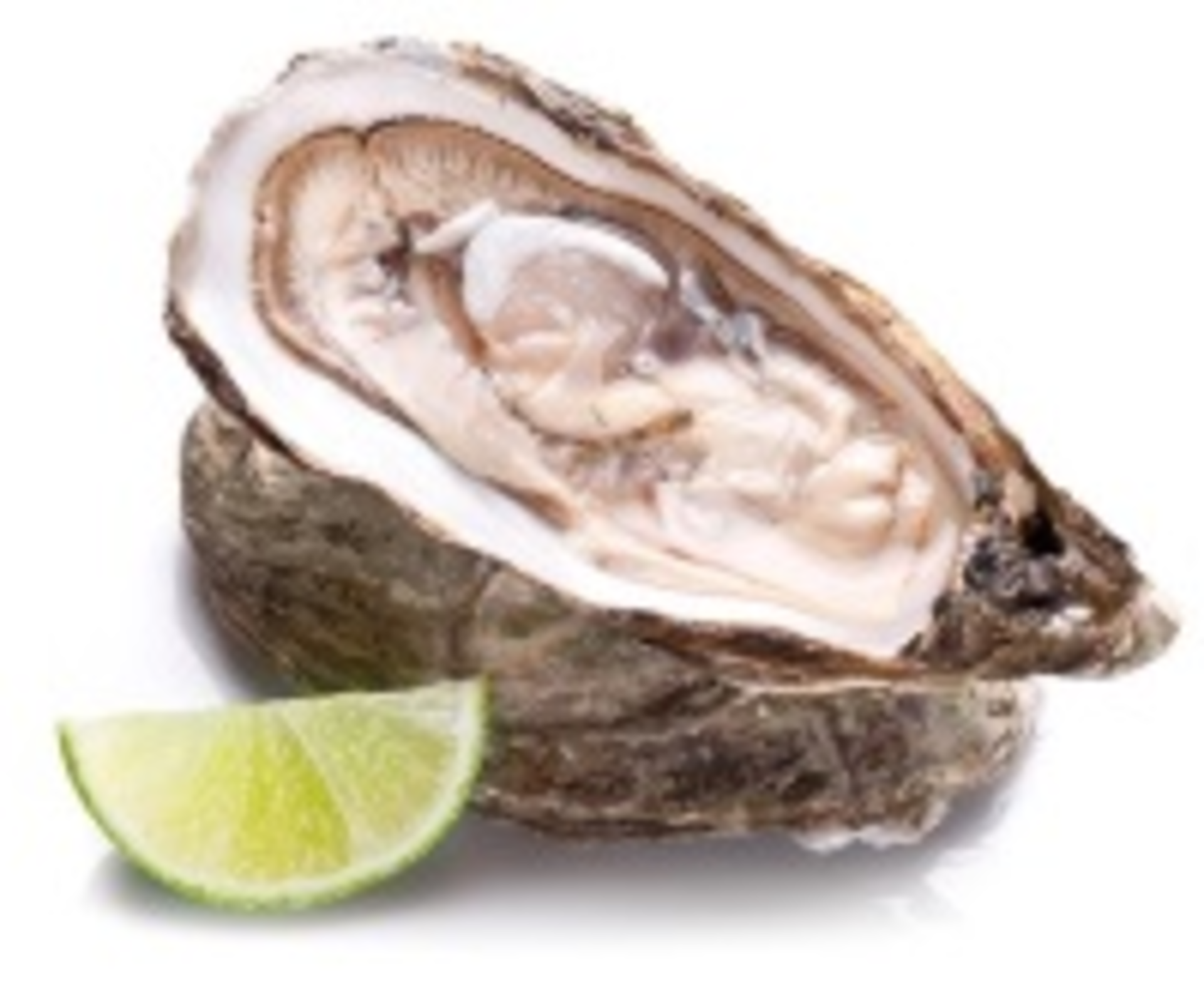 Oyster 35572894 Smaller