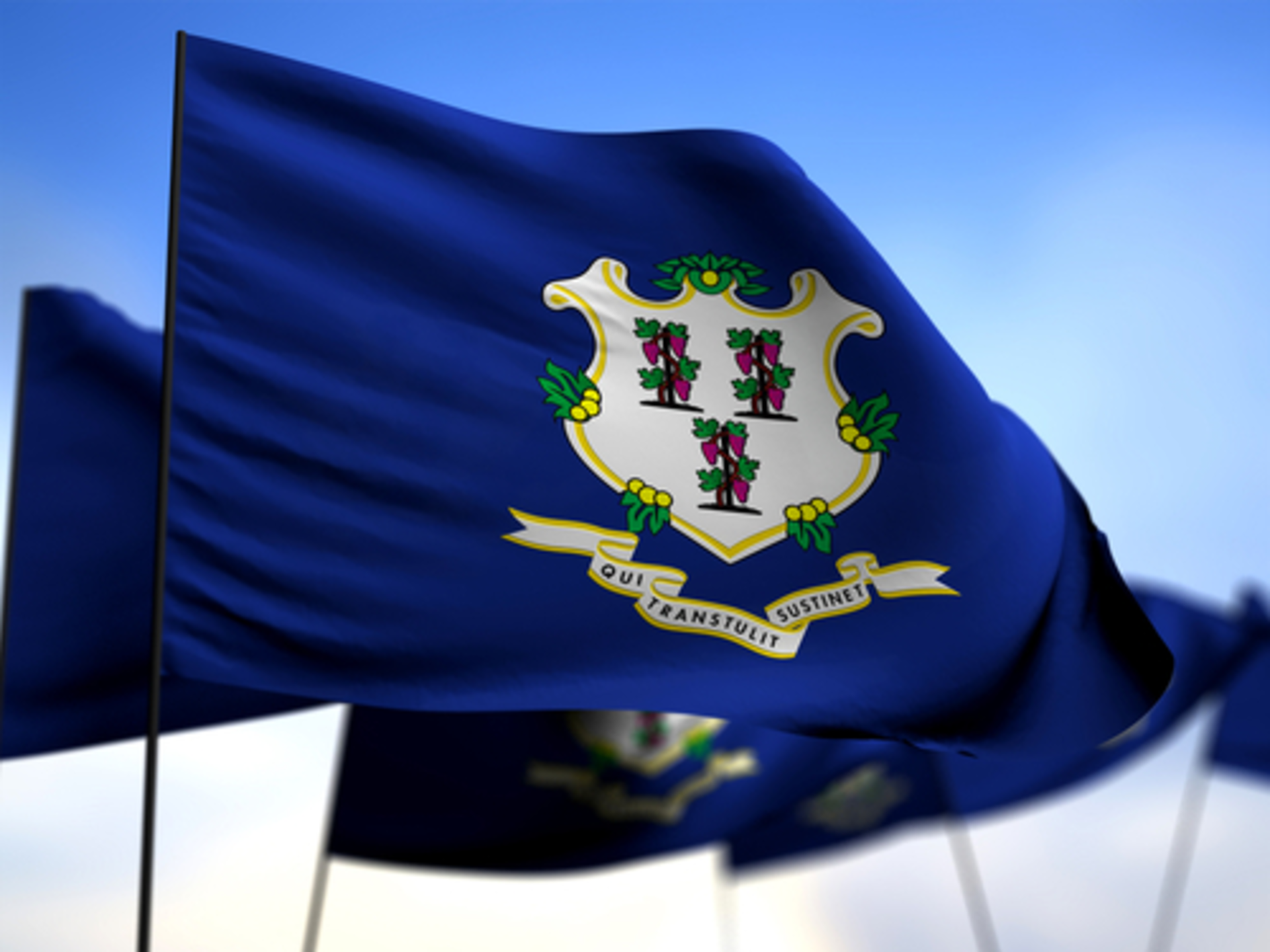 Shutterstock 243868447