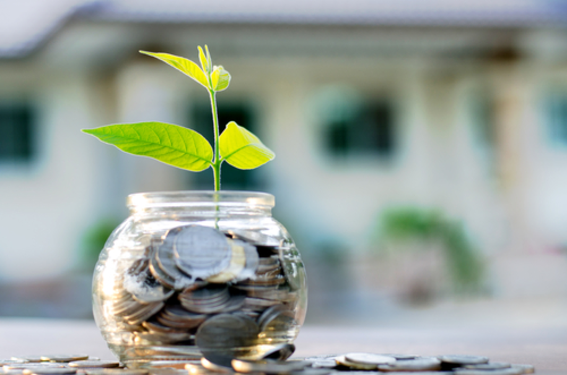 Shutterstock 244220311