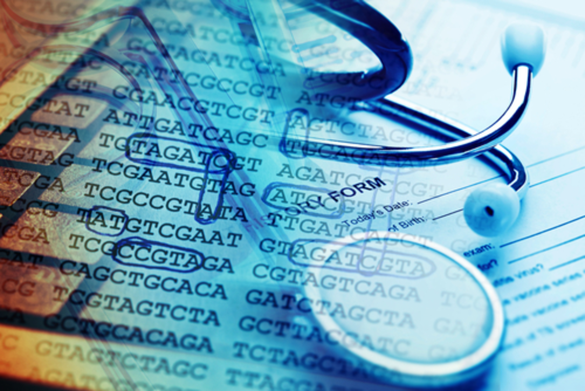 Shutterstock 217581562