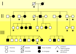 Ke Family Pedigree 01 Fr Ke Family Pedigree 01 Fr