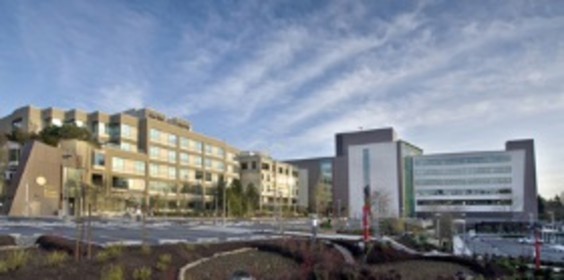 Seattlechildrens1 Smaller