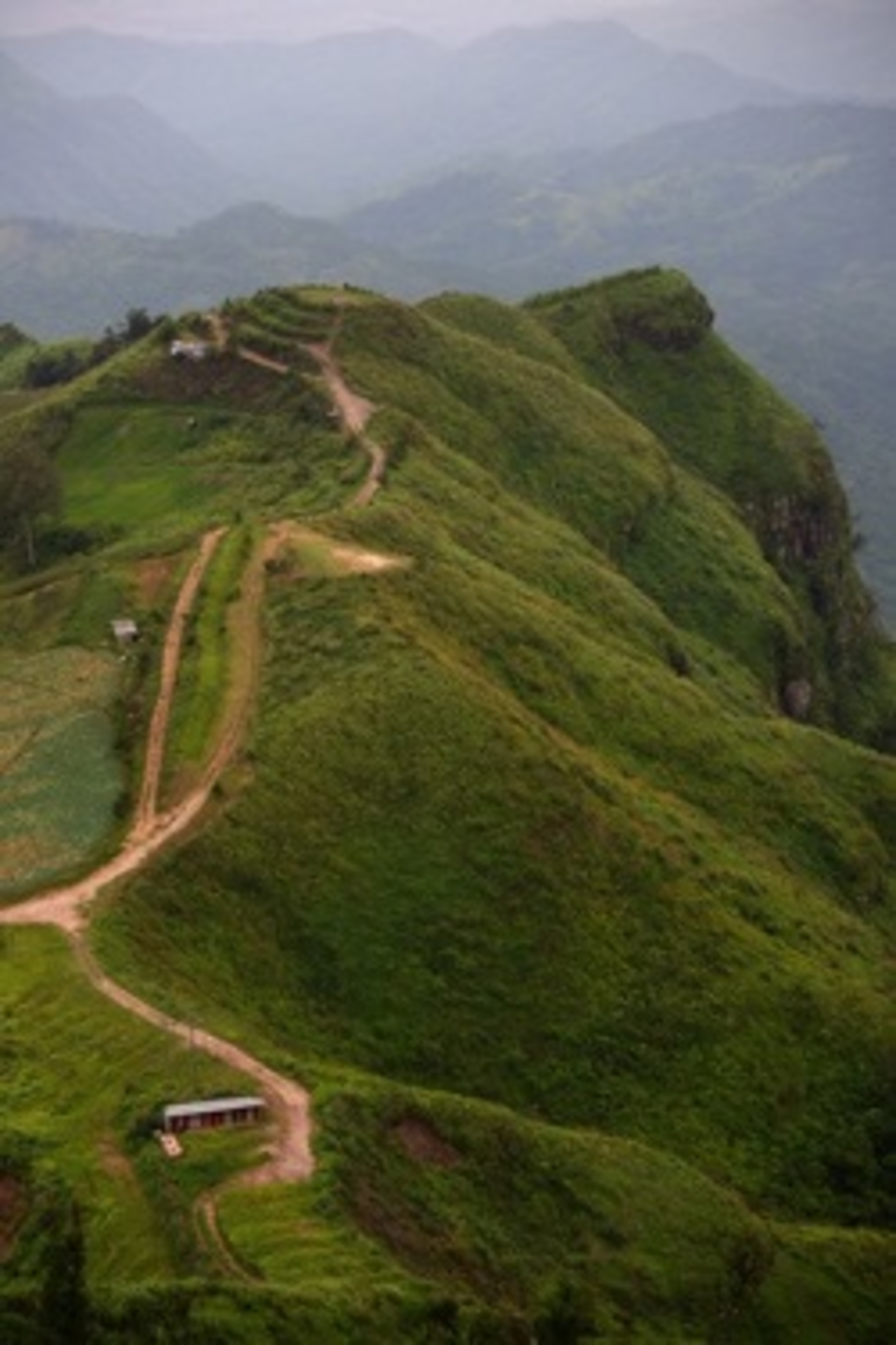 Mountainpath 33505371 Smaller