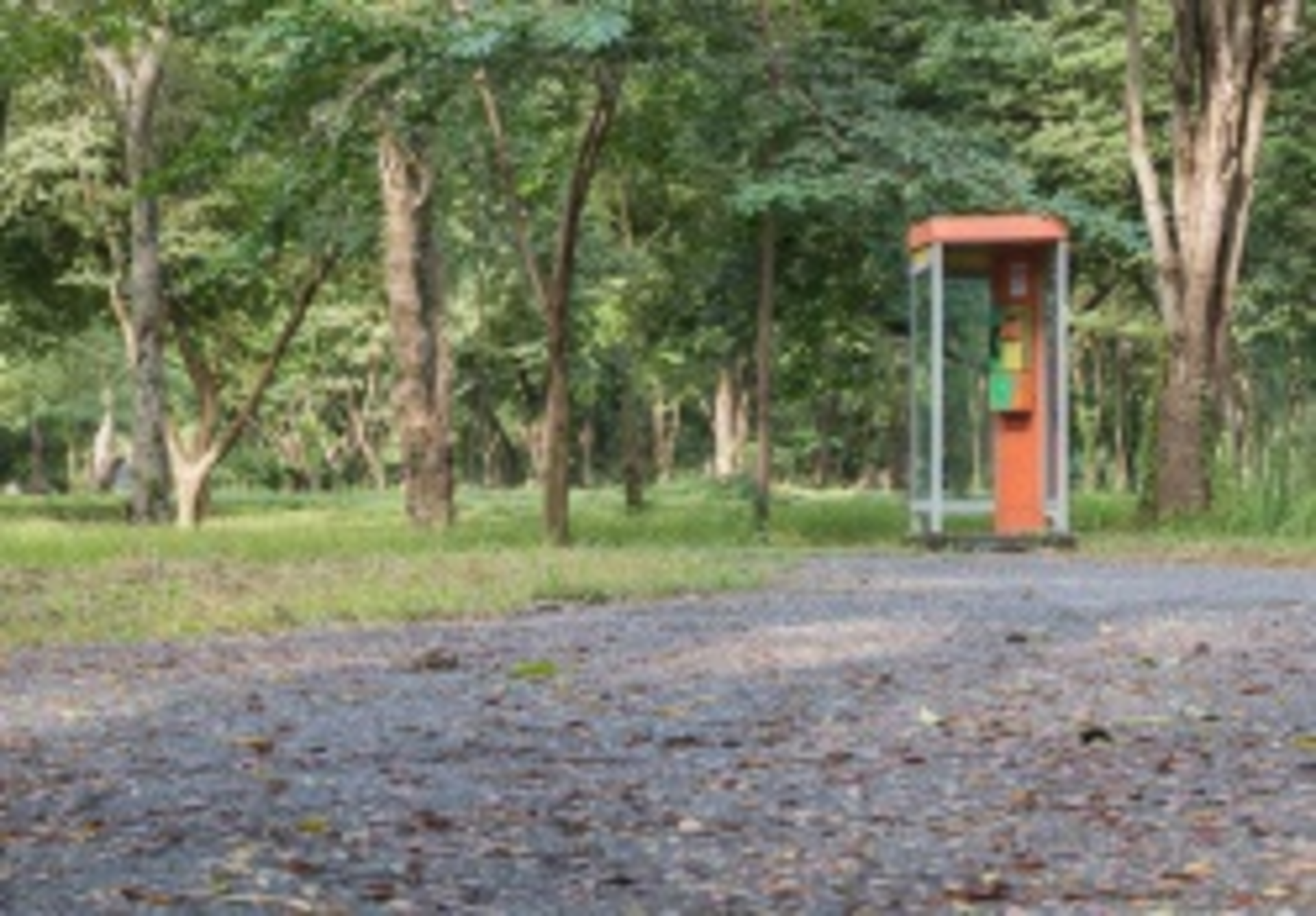 Phoneinwoods Shutterstock 337576412 Web