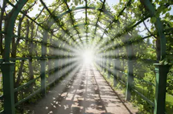 Bright Light Bright Light