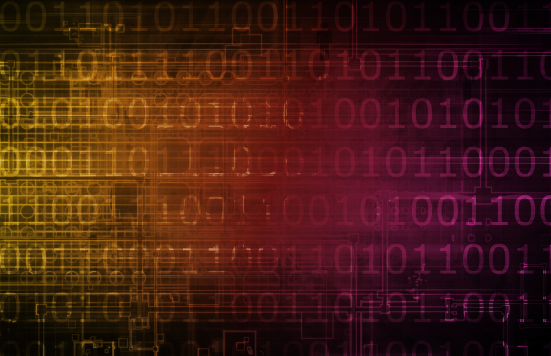 Shutterstock 221567407