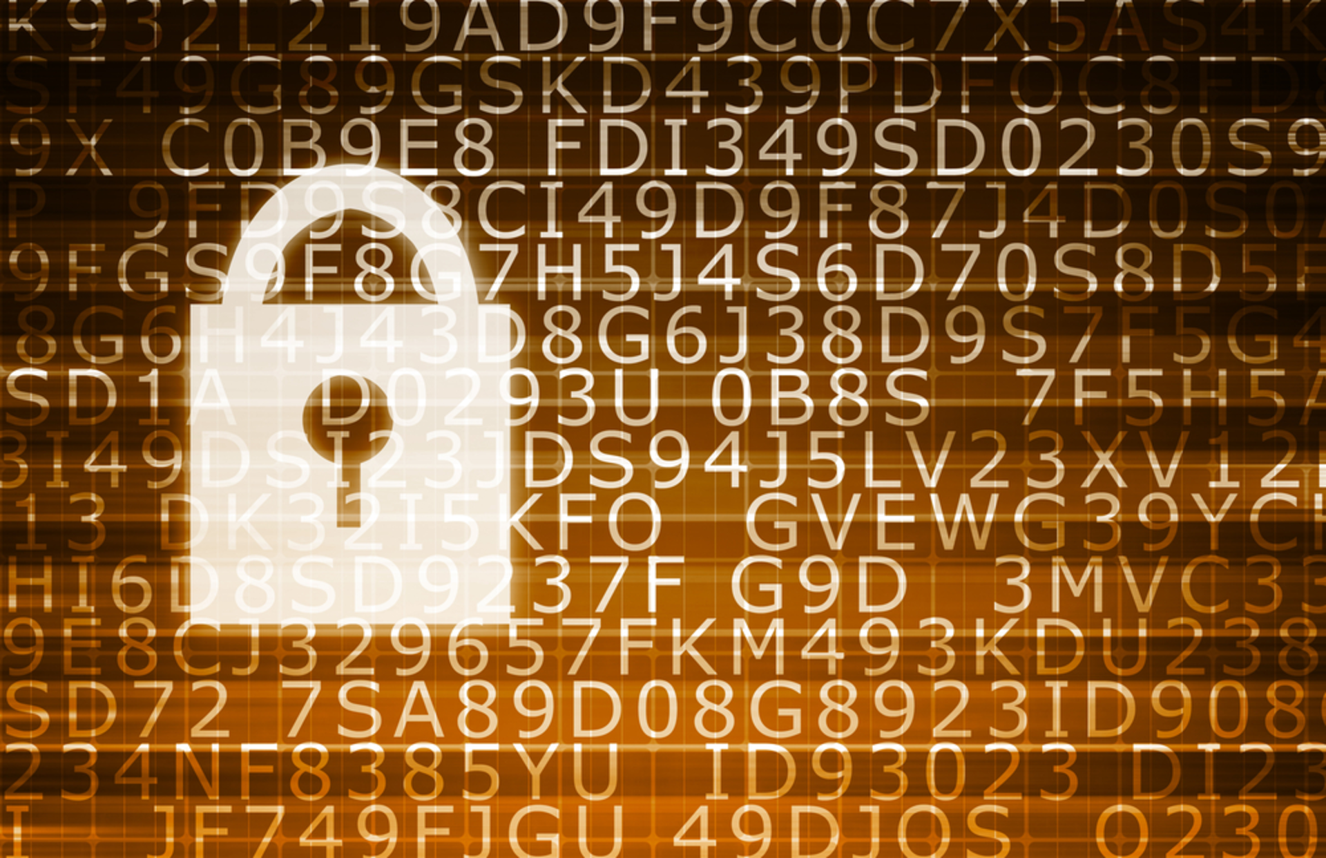 A Data Security