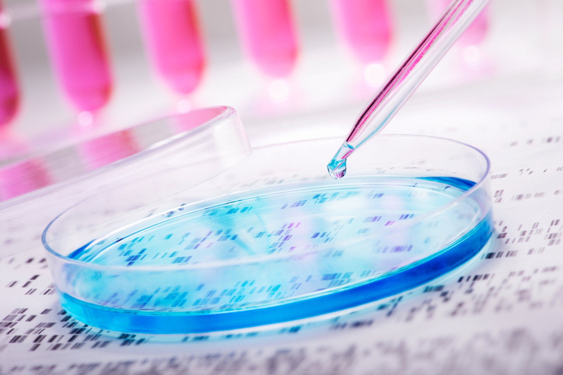 Shutterstock 262939166