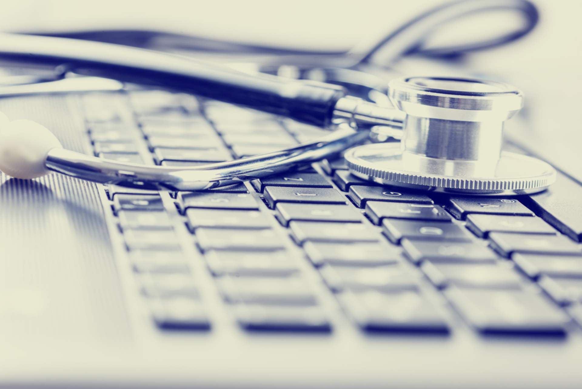 Shutterstock 185088038