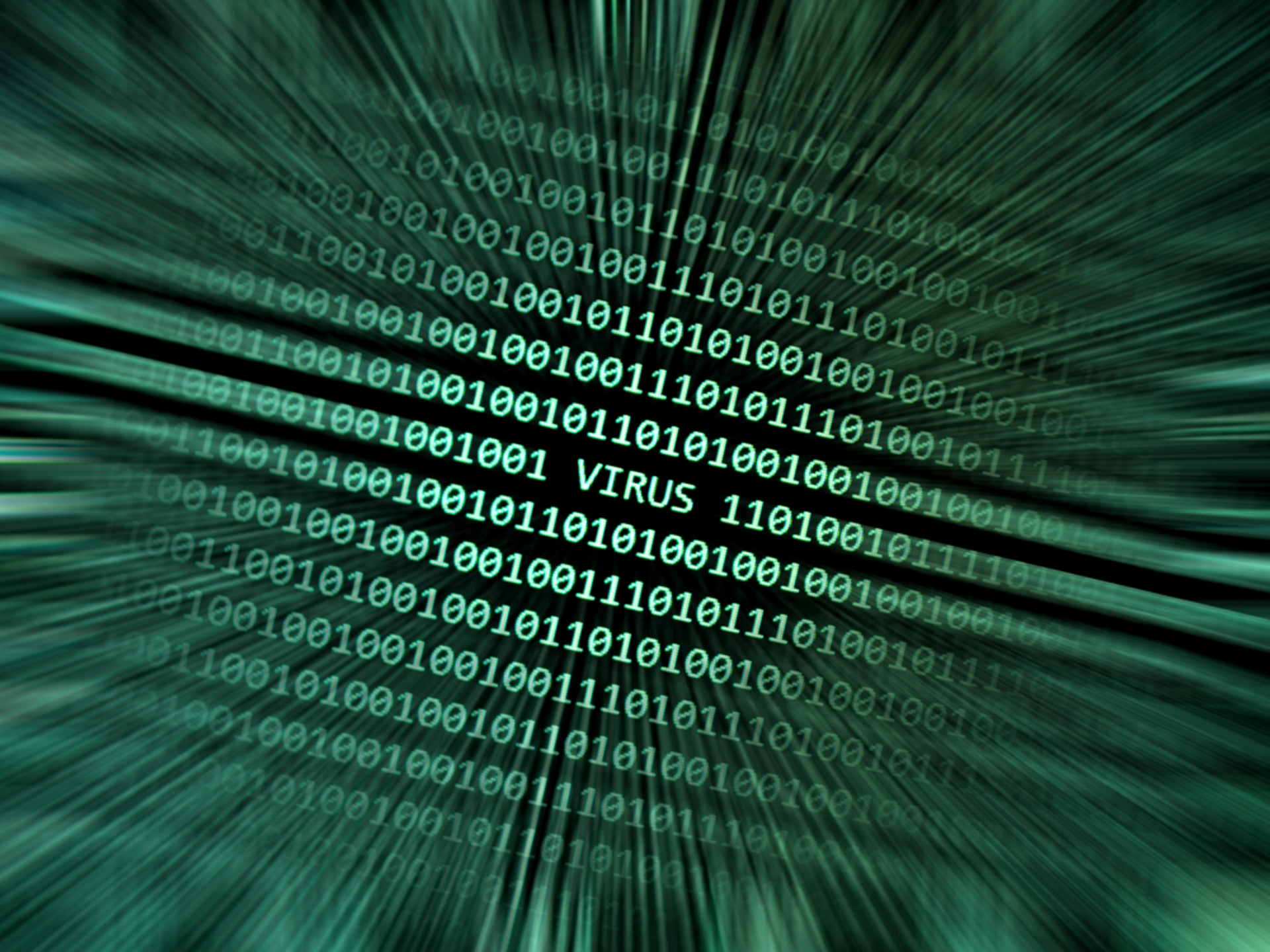 Shutterstock 206618242