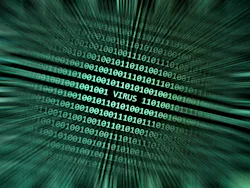 Shutterstock 206618242 Shutterstock 206618242