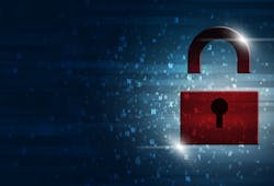 Shutterstock 213511531 Shutterstock 213511531