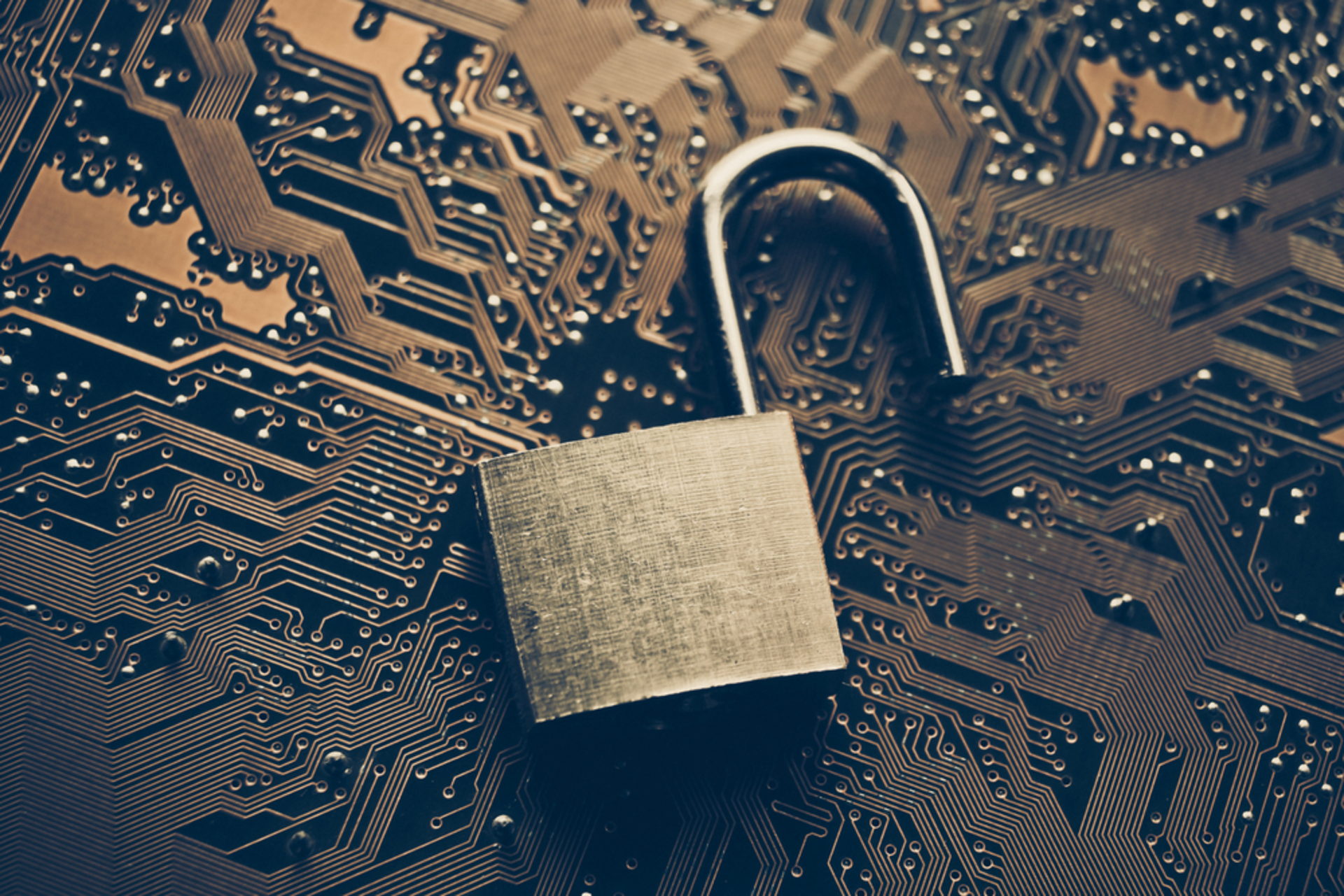 Shutterstock 243908689