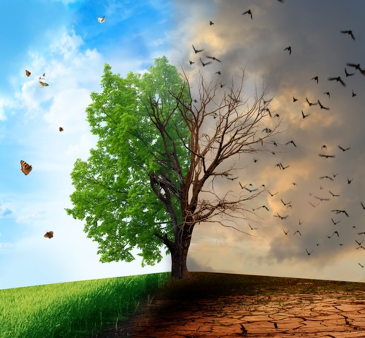 Another “Is Meaningful Use Dead” Debate? You Don’t Say! Healthcare