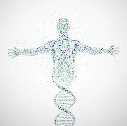 Shutterstock 103017107 Shutterstock 103017107