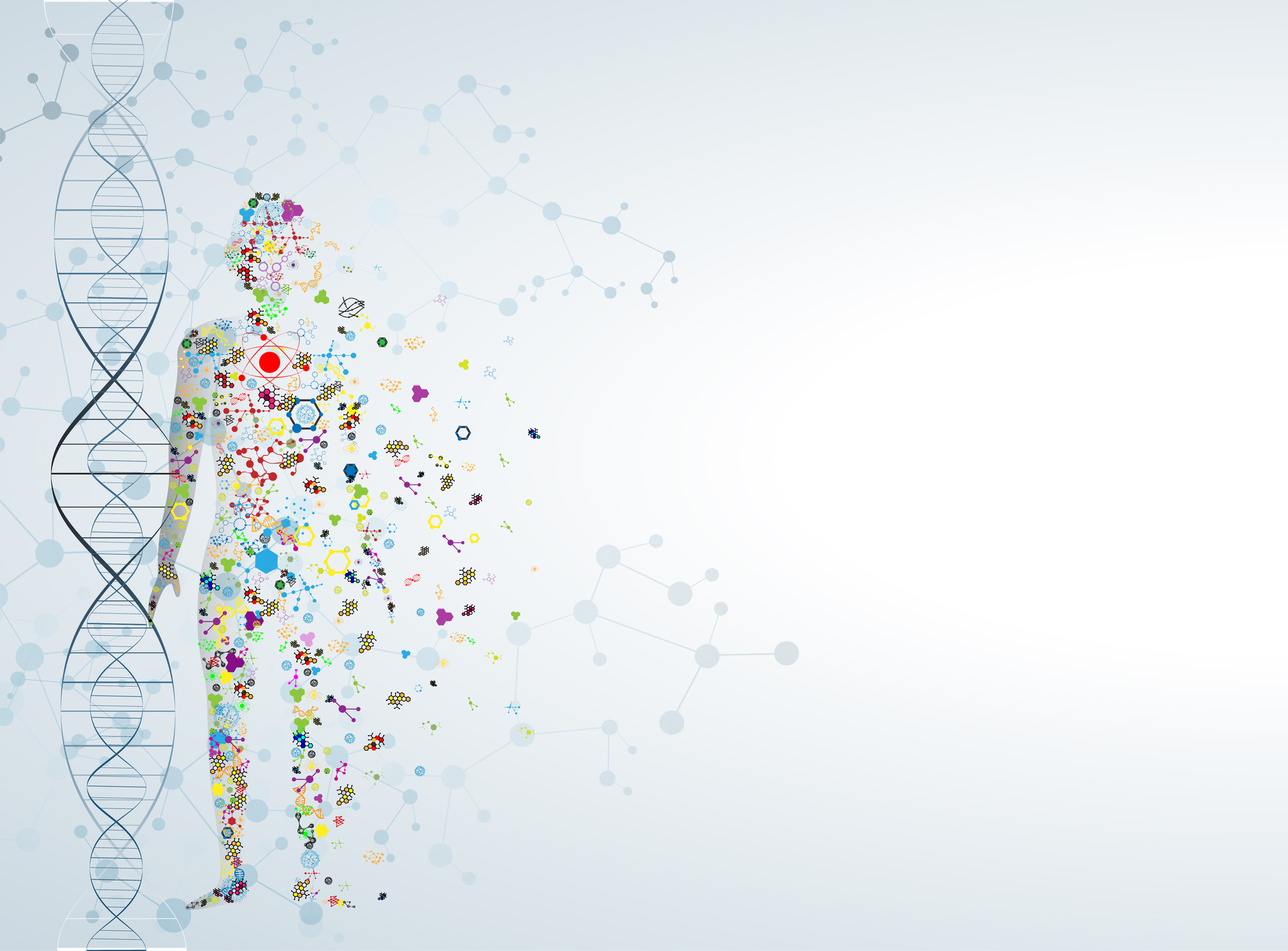 Shutterstock 251639014