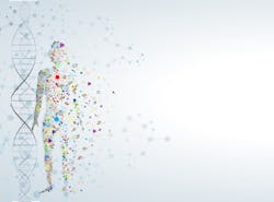 Shutterstock 251639014 Shutterstock 251639014