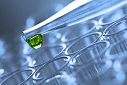 Shutterstock 135010079 Shutterstock 135010079