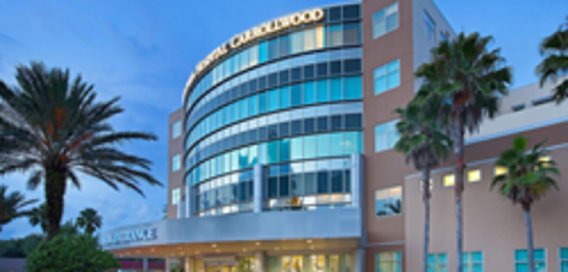 Gi 103876 Carrollwood 0