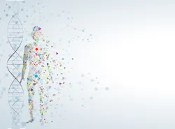 Shutterstock 251639014 1 Shutterstock 251639014 1