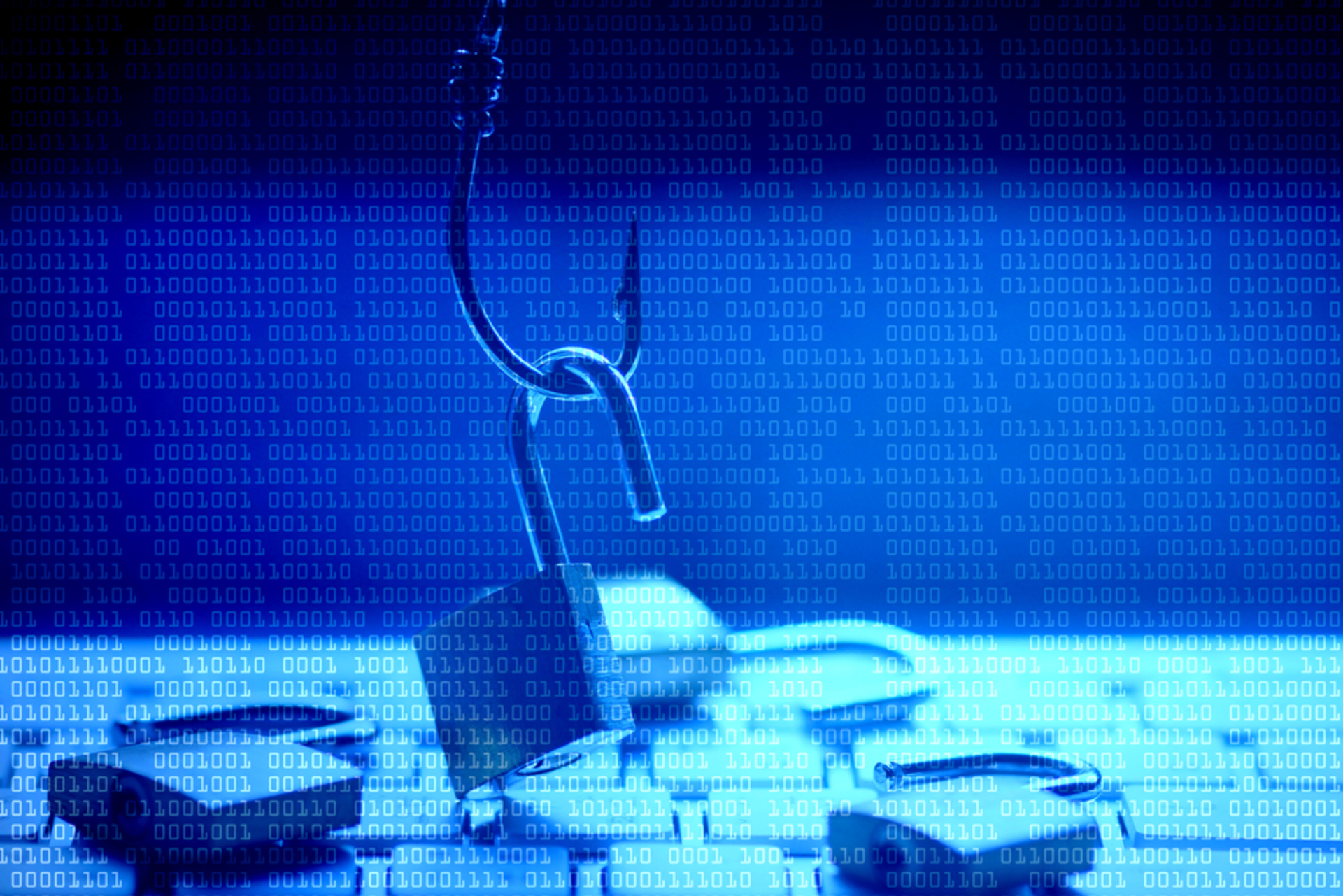 Shutterstock 449459014