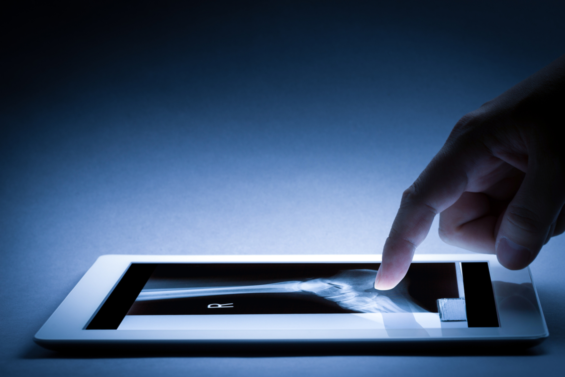 Shutterstock 524089081