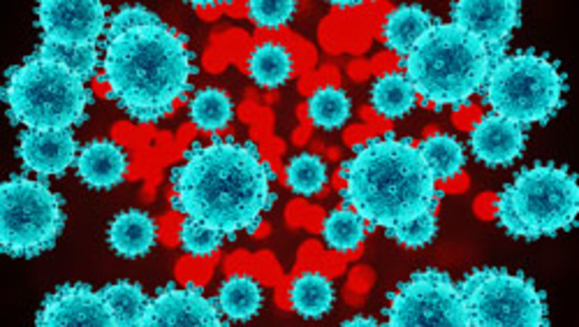 Bacteria Shutterstock 557461936smallere