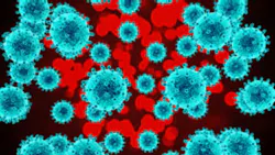 Bacteria Shutterstock 557461936smallere Bacteria Shutterstock 557461936smallere