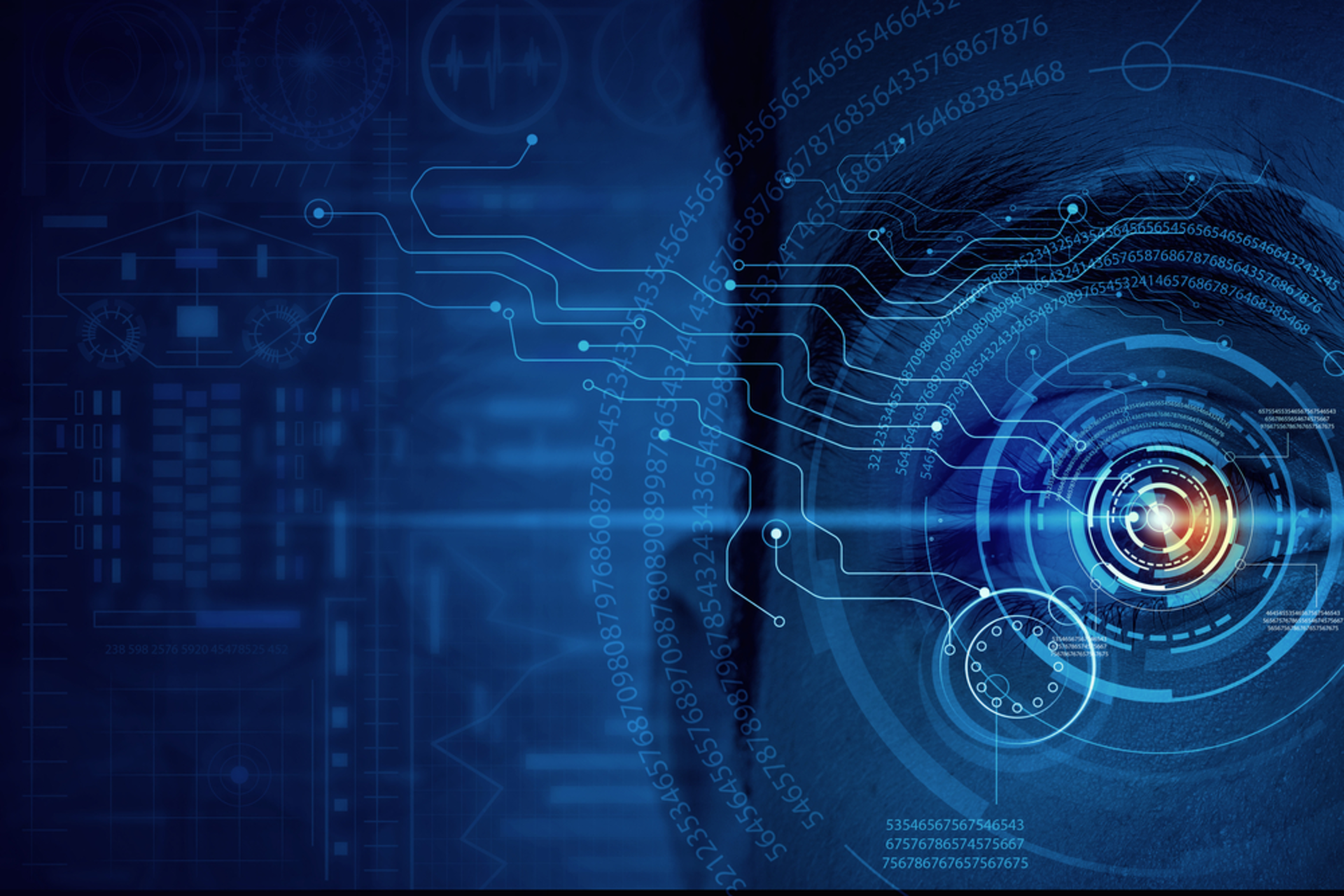 Shutterstock 362815196