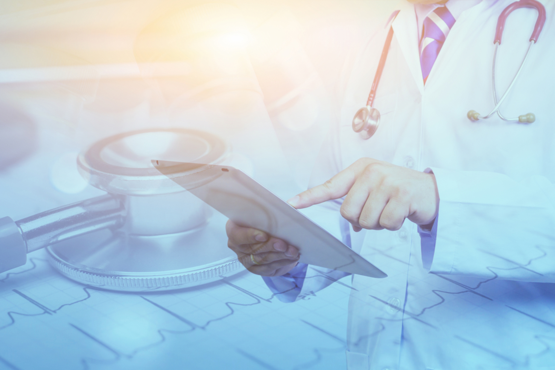 Shutterstock 534041473