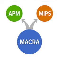 Shutterstock 498951142 Shutterstock 498951142