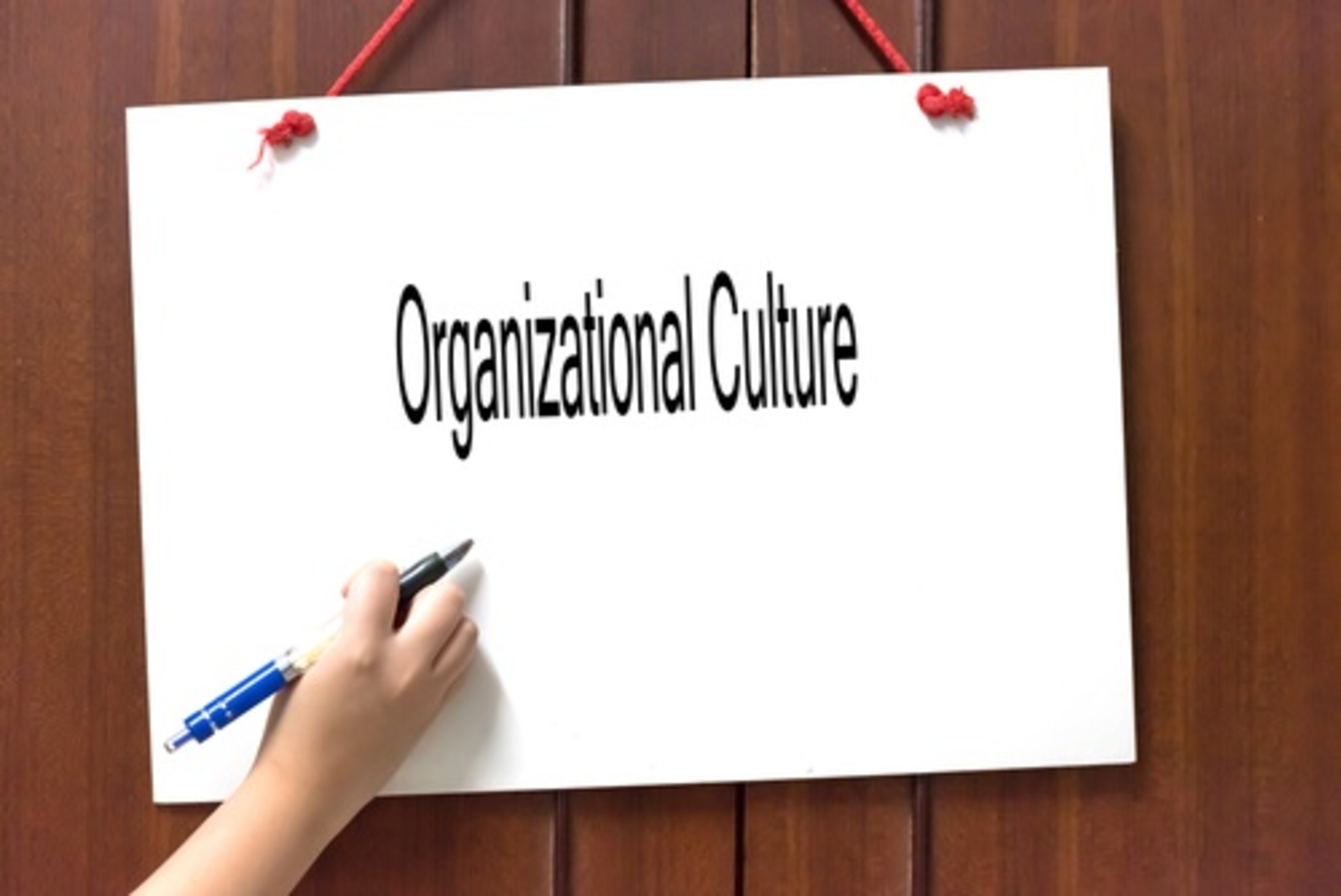 Culture Organization