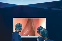 H1704 Displays Products Olympus H1704 Displays Products Olympus