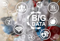 Shutterstock 559387429 Shutterstock 559387429