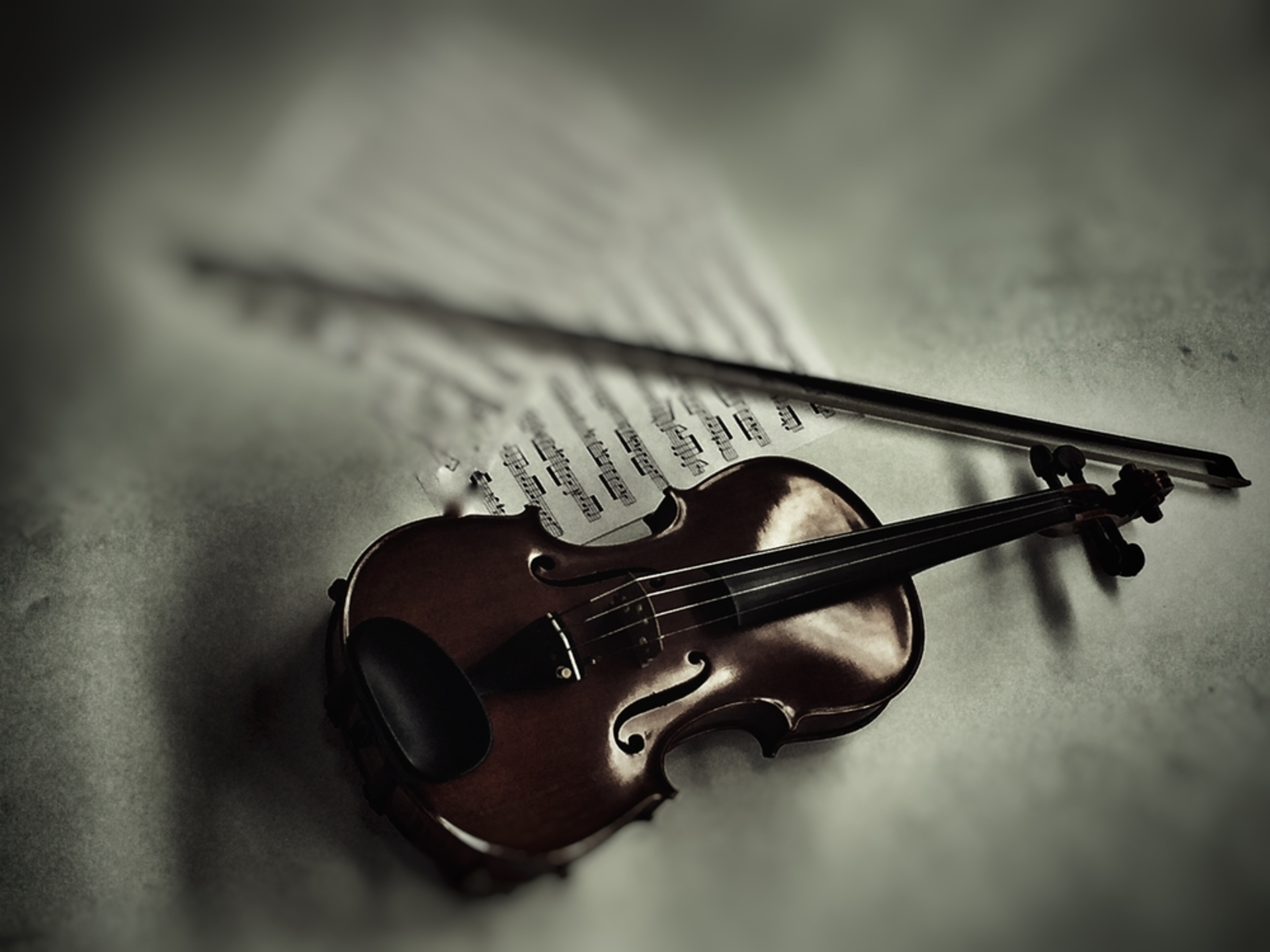 Shutterstock 601979882