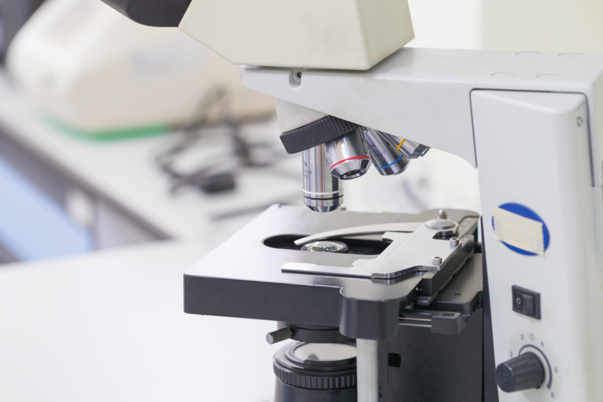 Shutterstock 616460903