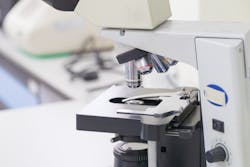 Shutterstock 616460903 Shutterstock 616460903