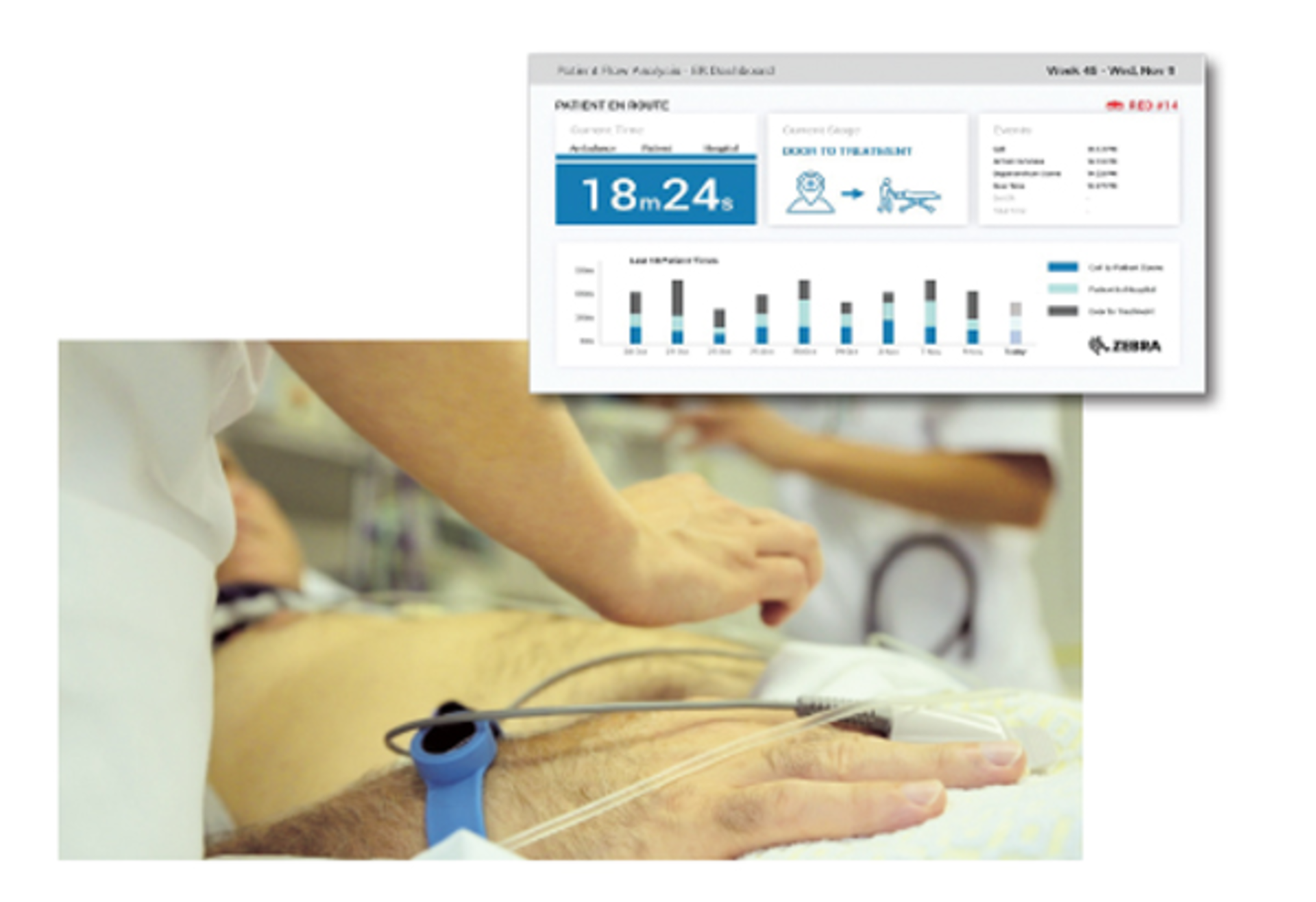 h06pattrackpic-Zebra