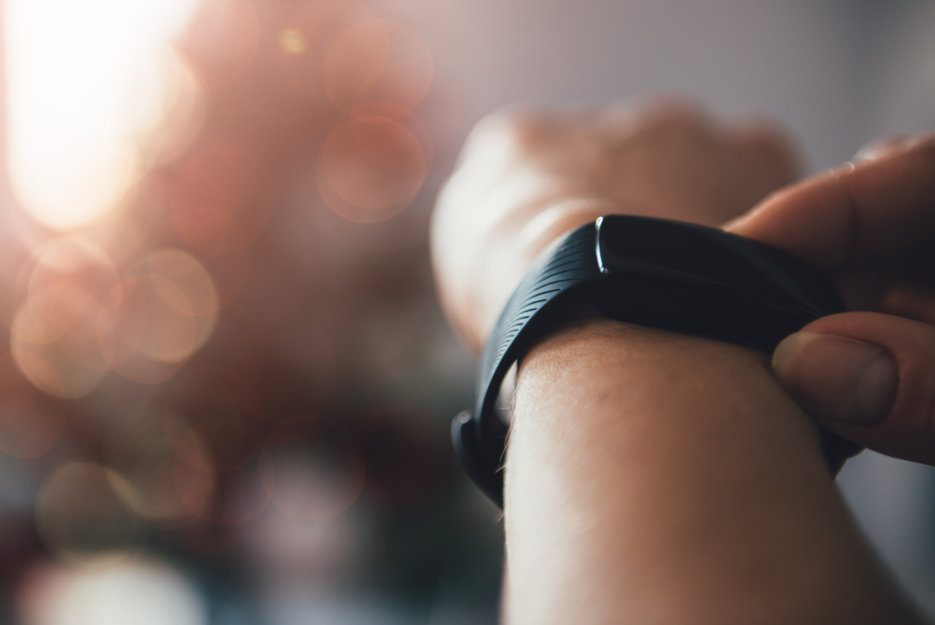 Shutterstock 529126072