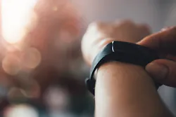 Shutterstock 529126072 Shutterstock 529126072