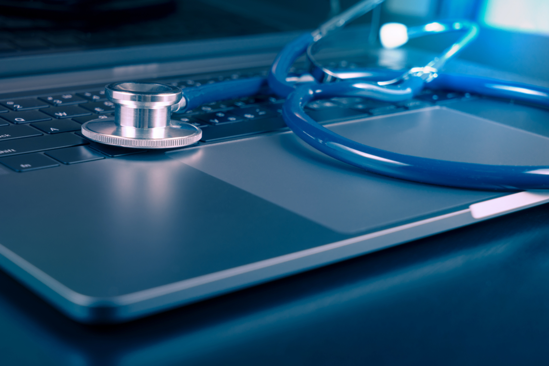 Shutterstock 551862391