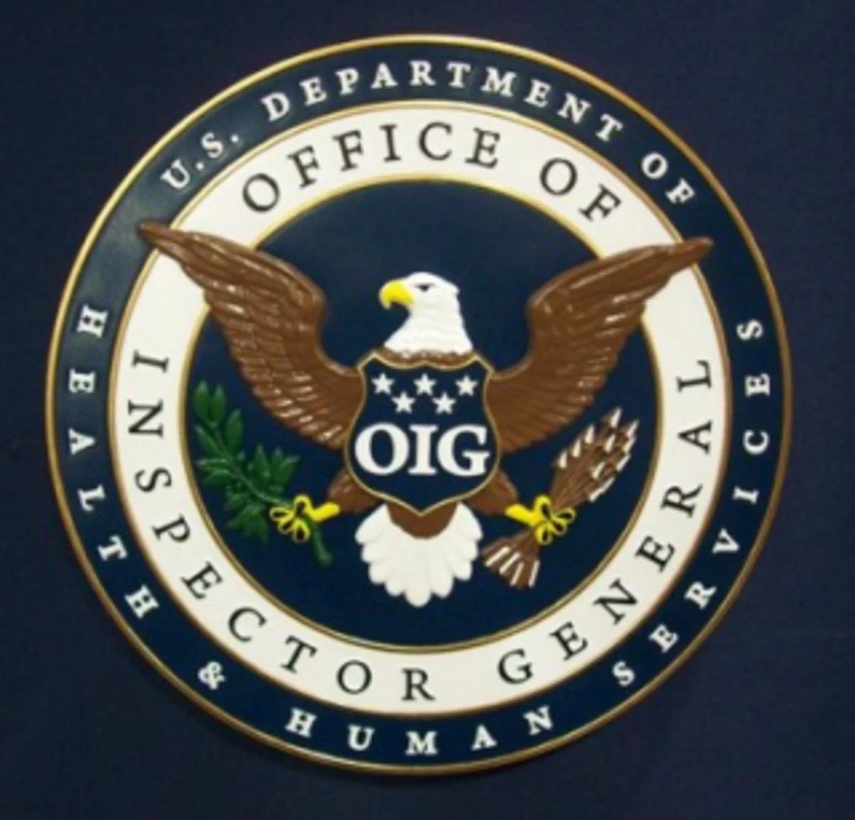 OIG Report Estimates CMS Overpaid $729M in MU Payments; How Concerning ...