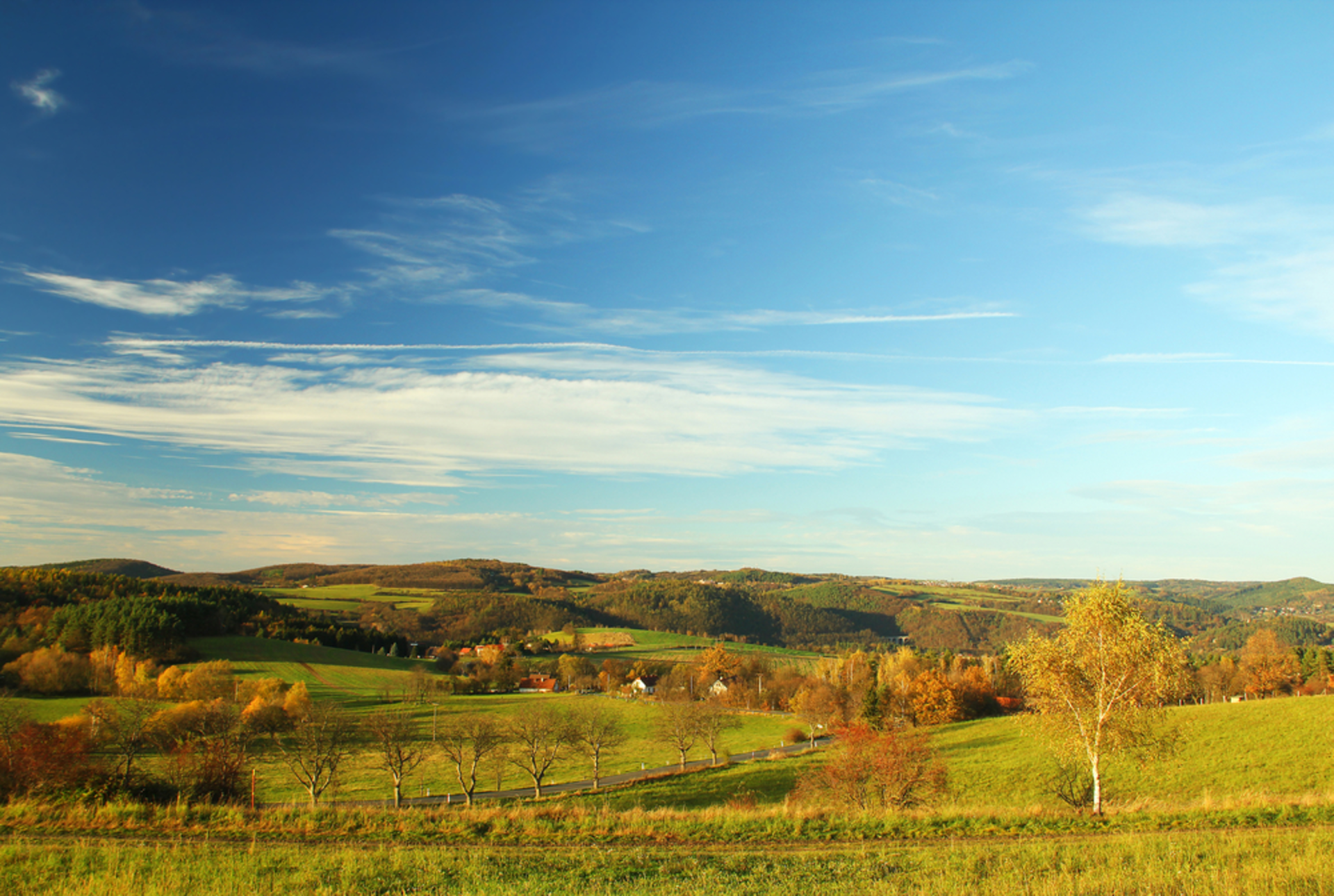 Shutterstock 161914115