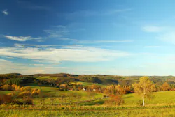 Shutterstock 161914115